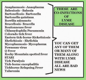 coinfections1