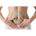 Stomach