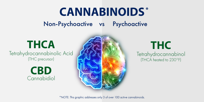 Cannabinoid: Psychoactive and Non-psychoactive Constituents