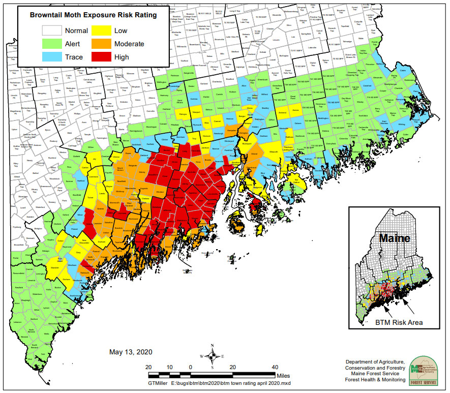 2020 Maine Browntail Moth Exposure Risk Map