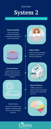 Infographic explaining the biology of sleep.
